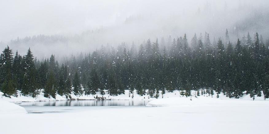 Severe Winter Storm Grips the US: A Climate Crisis Alert